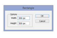 Make a square with the rectangle tool