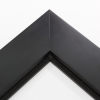 2-1/2  inch deep Black Stacker